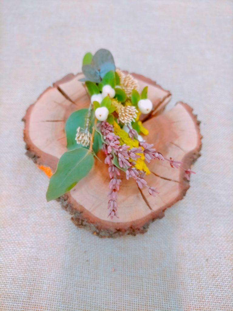campestre hypericum